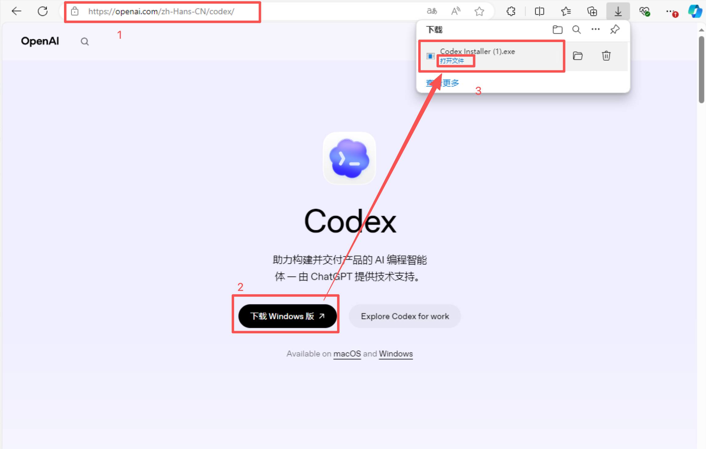 打开 OpenAI Codex 官方页面