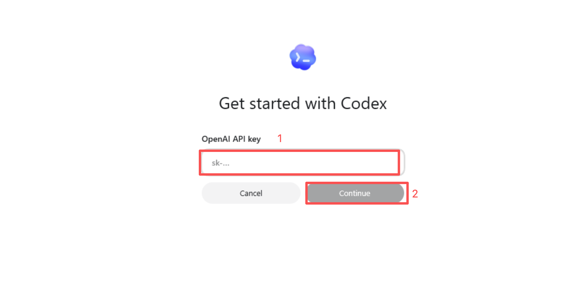 在 Codex 中输入 PrimeRouter 令牌