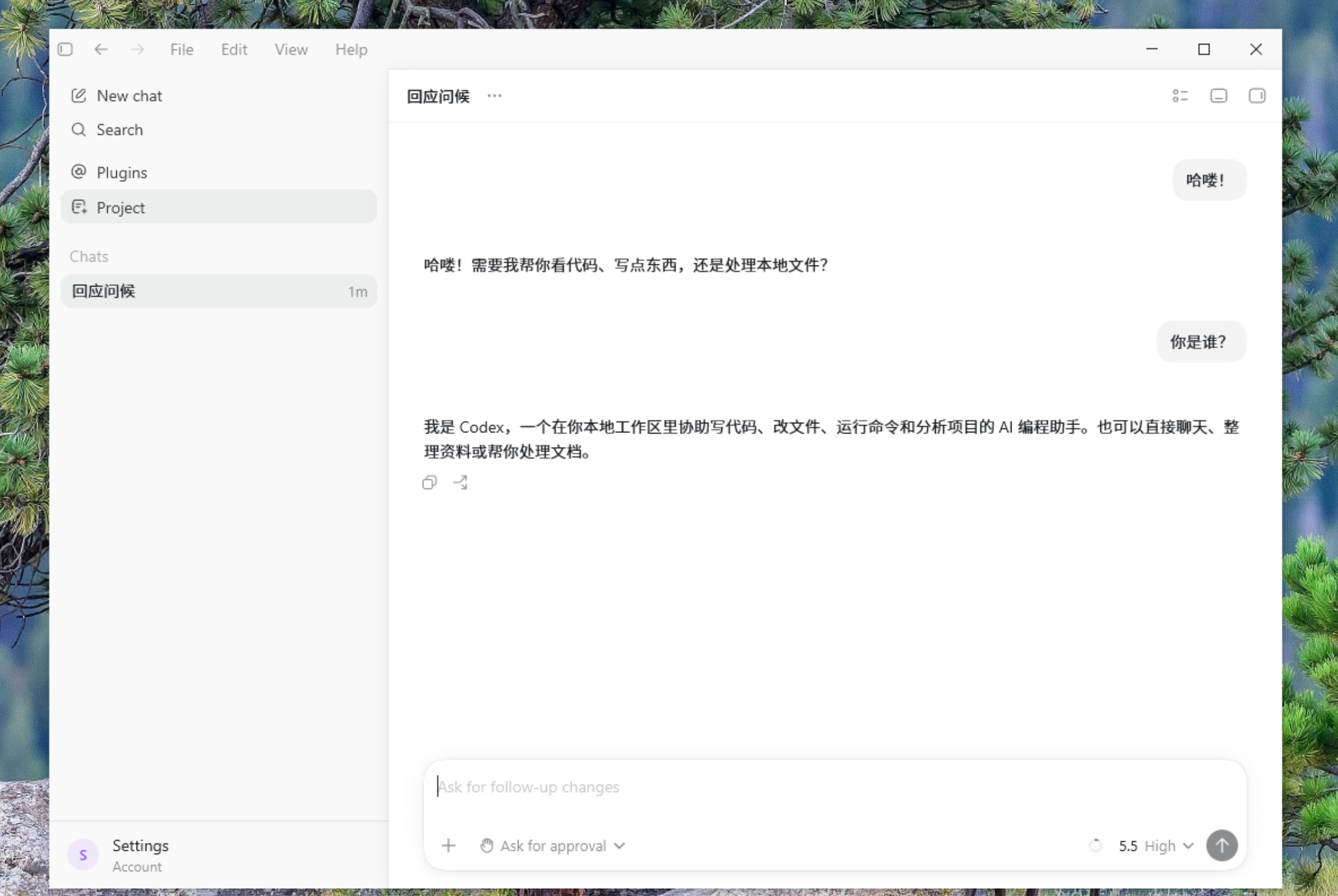 Codex 配置成功