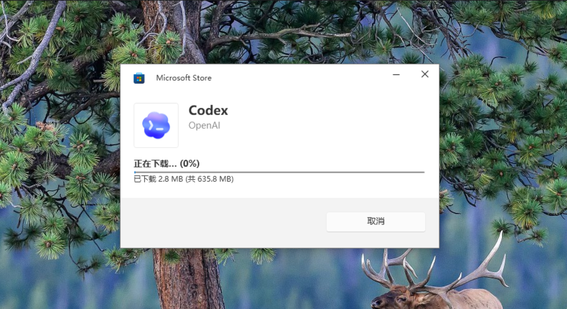 Codex 自动检查并下载安装