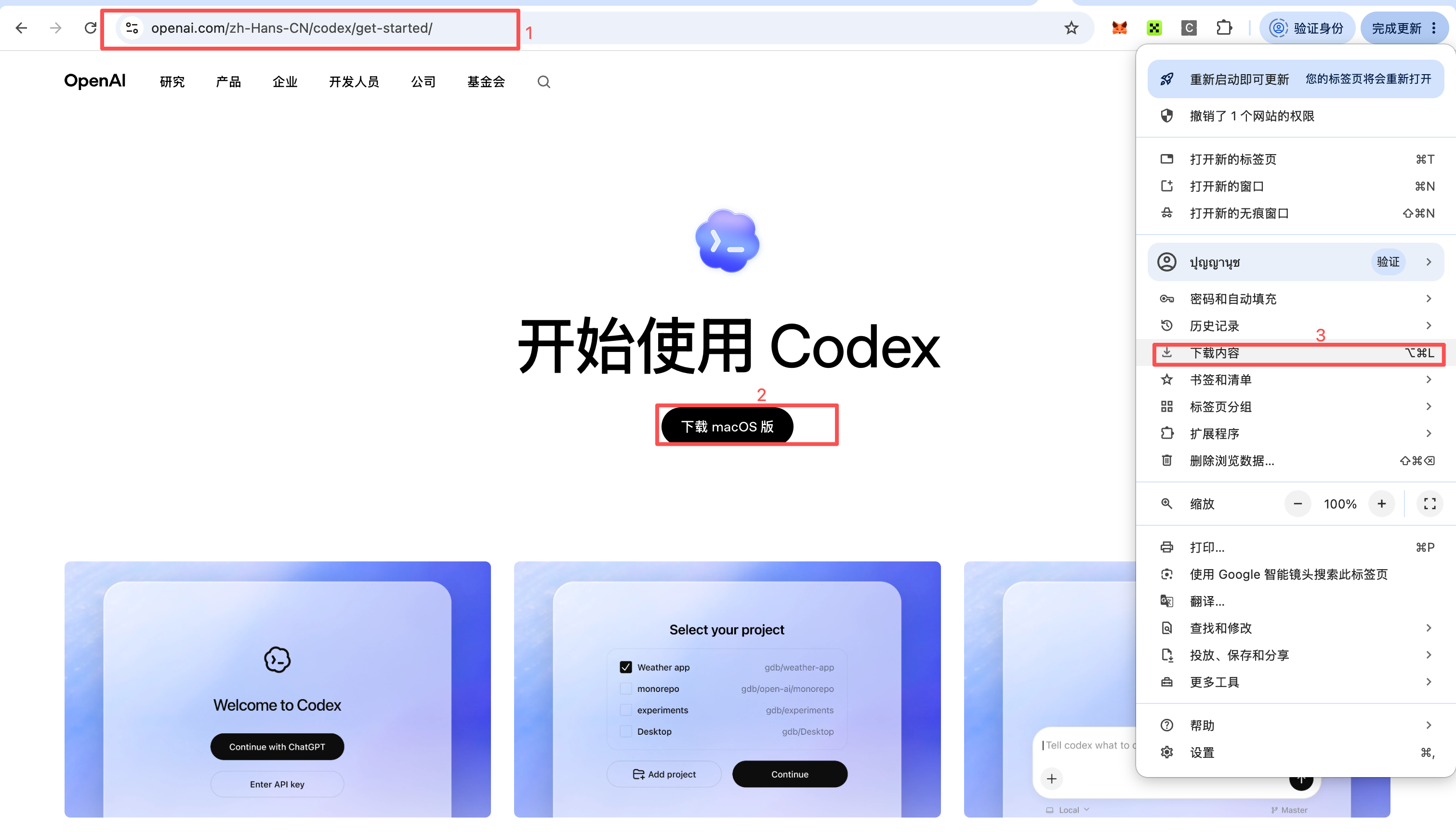 打开 OpenAI Codex macOS 下载页面