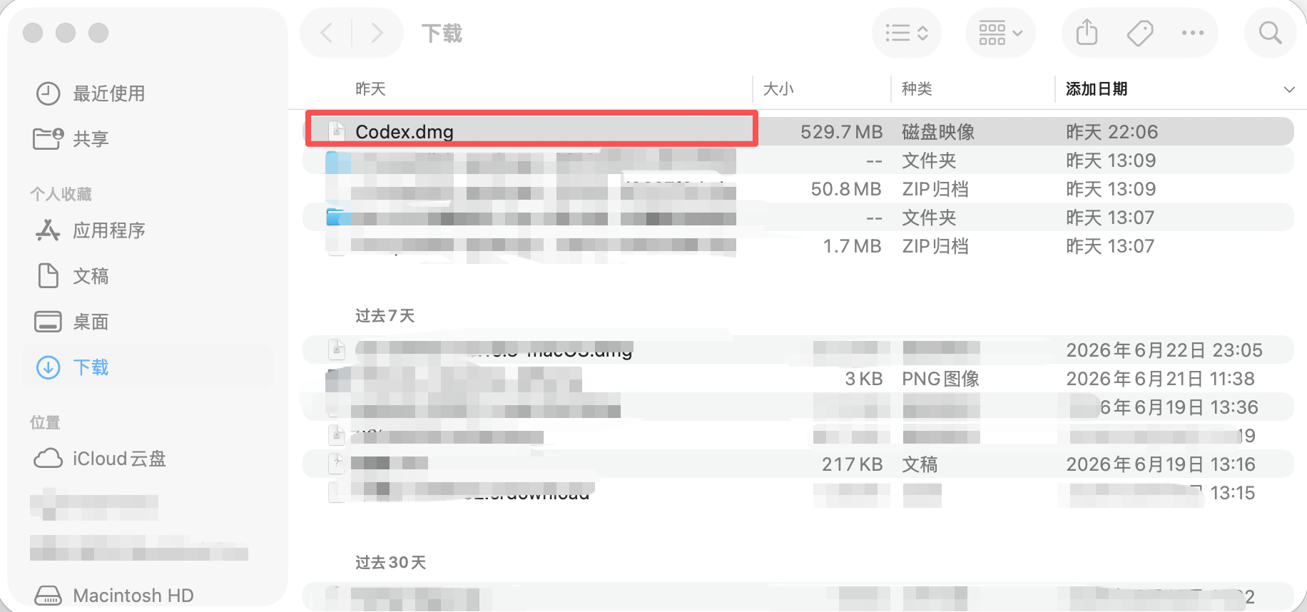 打开 Codex macOS 安装包